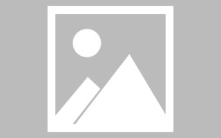 诸城搭建网站招聘信息（网站制作 招聘）